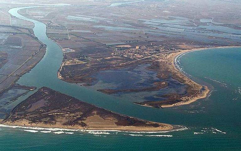 Дельта реки Эбро (Delta de L'Ebre)