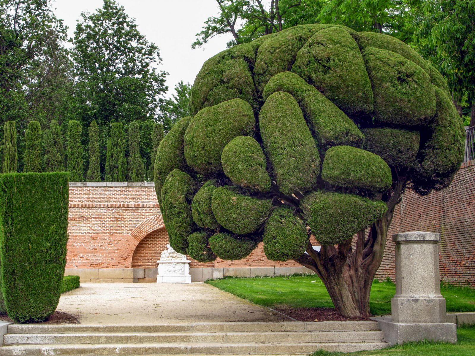 Необычные плюшевые деревья в парке Ретиро в Мадриде Испания