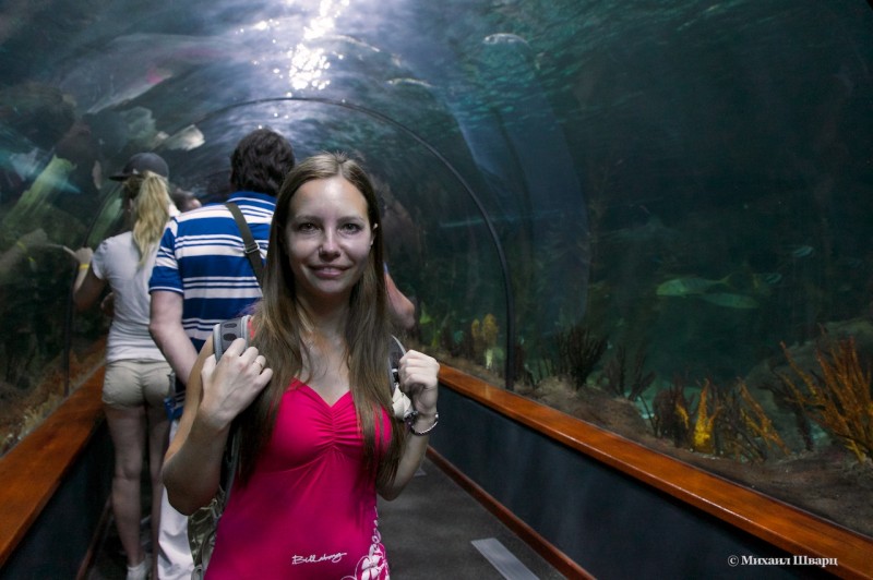 Туннель сквозь аквариум
