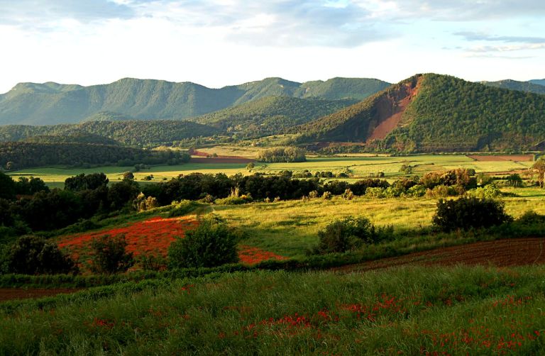 Природный парк вулканического района Гарроча (Parc Natural Zona Volcànica de la Garrotxa)
