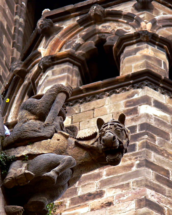 Гаргулья Барселонского собора (фото: gabriel cubero martin)