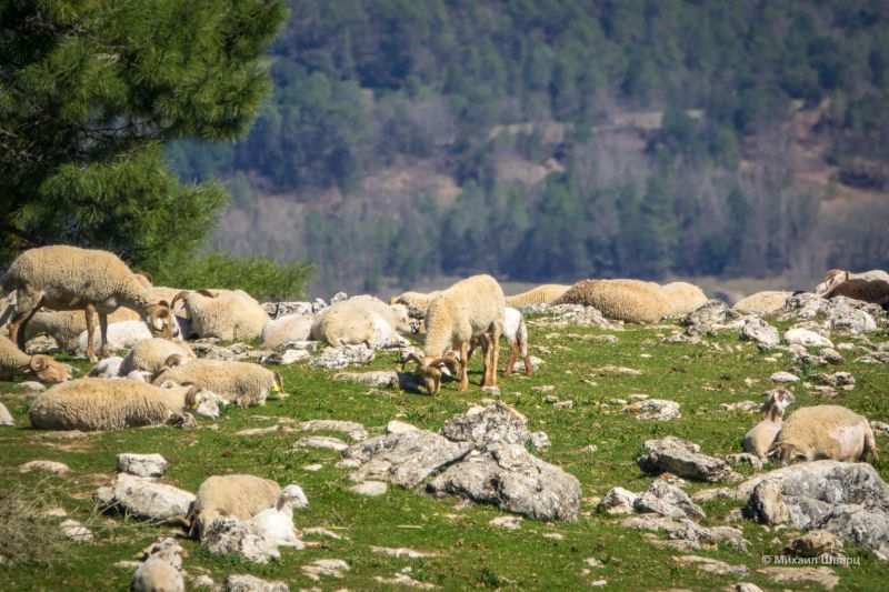 Парк Sierras de Cazorla во 2 раз 4