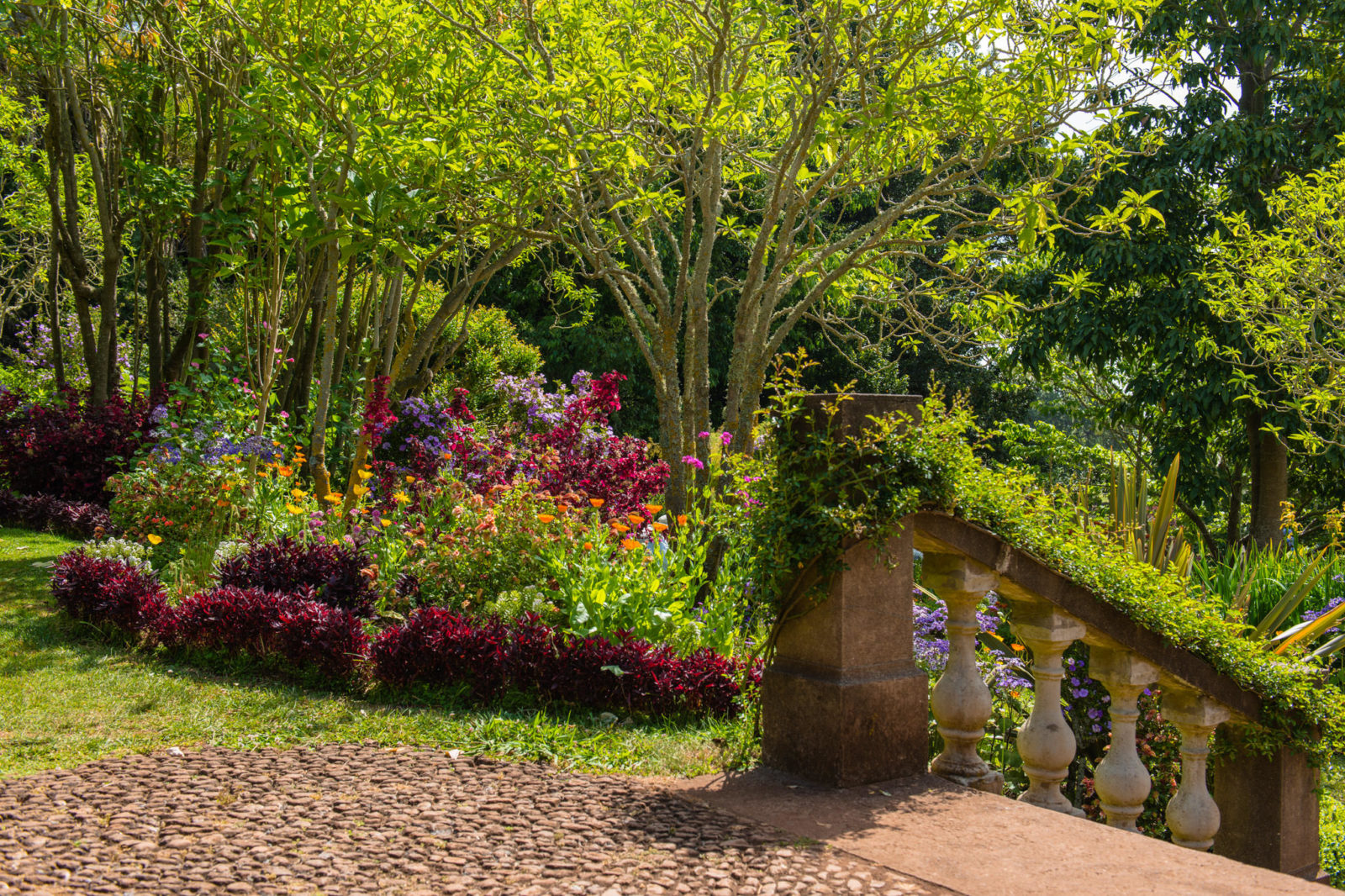 Сады Палейру – острова Мадейра (фото: Rainer Sturzenegger)