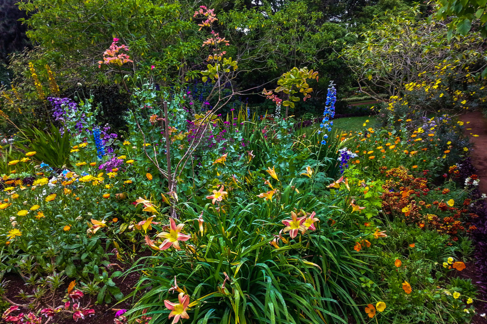 Цветы в садах Бленди (фото: Theo de Geringel)