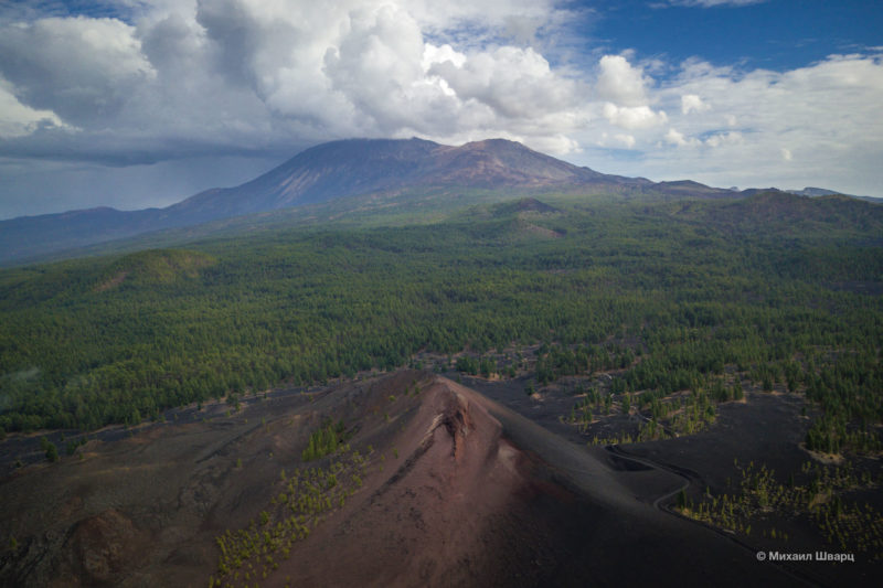 Szlak wulkaniczny wokół Teide 18