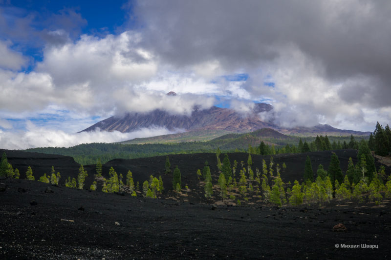 The volcanic route around Teide 11