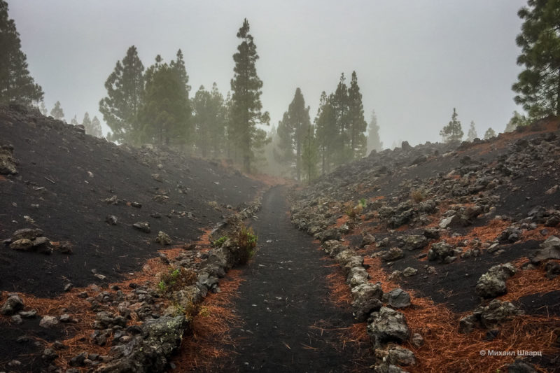 Szlak wulkaniczny wokół Teide 3
